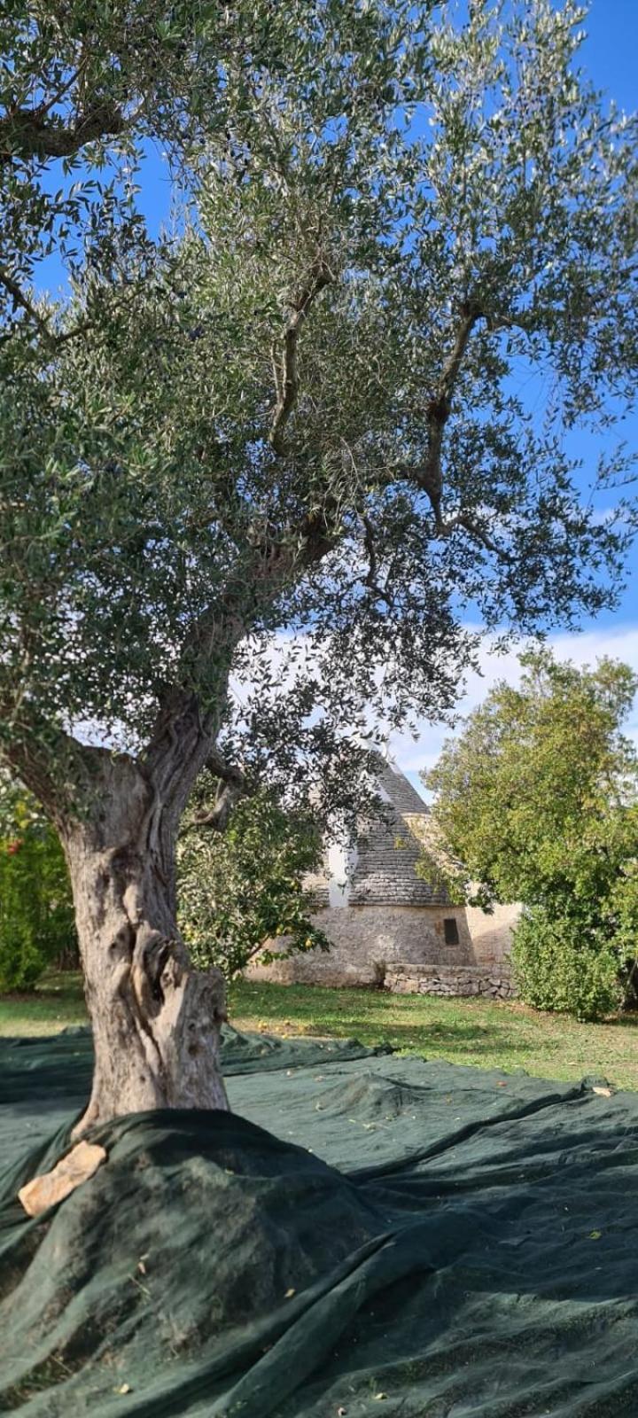 Trullo Claf Villa Ostuni Luaran gambar